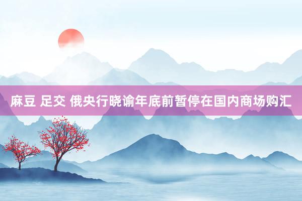 麻豆 足交 俄央行晓谕年底前暂停在国内商场购汇
