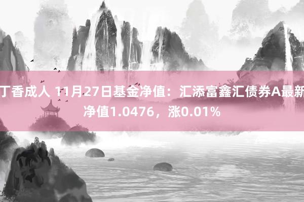 丁香成人 11月27日基金净值：汇添富鑫汇债券A最新净值1.0476，涨0.01%