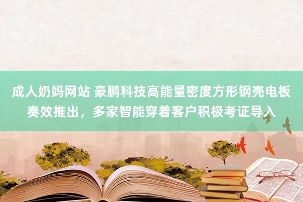 成人奶妈网站 豪鹏科技高能量密度方形钢壳电板奏效推出，多家智能穿着客户积极考证导入