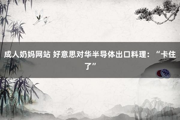 成人奶妈网站 好意思对华半导体出口料理：“卡住了”