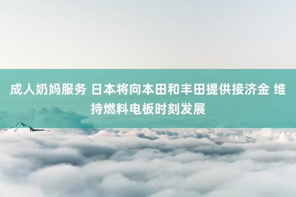 成人奶妈服务 日本将向本田和丰田提供接济金 维持燃料电板时刻发展