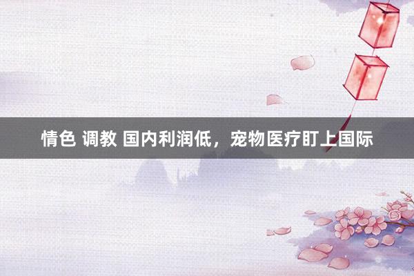 情色 调教 国内利润低，宠物医疗盯上国际
