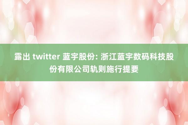 露出 twitter 蓝宇股份: 浙江蓝宇数码科技股份有限公司轨则施行提要