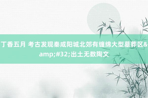 丁香五月 考古发现秦咸阳城北郊有缠绵大型墓葬区&#32;出土无数陶文