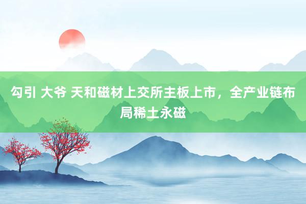 勾引 大爷 天和磁材上交所主板上市，全产业链布局稀土永磁