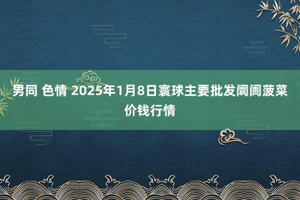 男同 色情 2025年1月8日寰球主要批发阛阓菠菜价钱行情