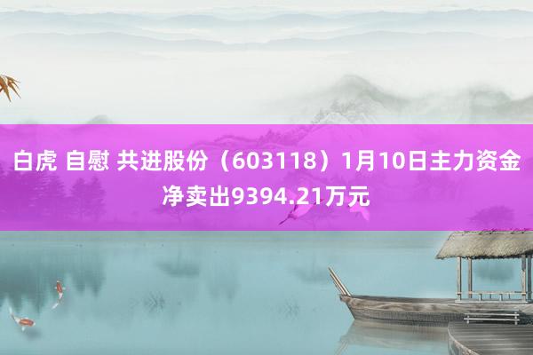 白虎 自慰 共进股份（603118）1月10日主力资金净卖出9394.21万元