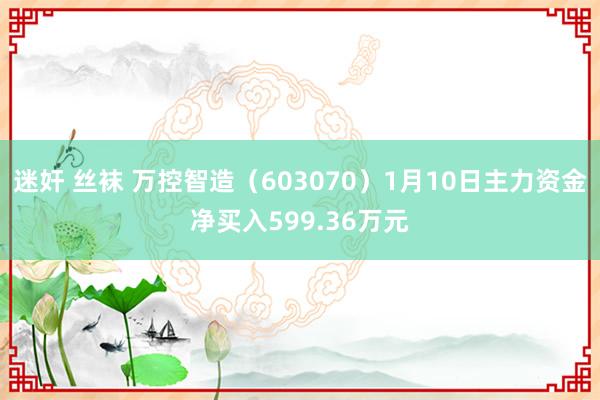迷奸 丝袜 万控智造（603070）1月10日主力资金净买入599.36万元