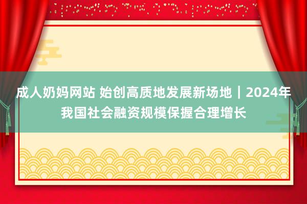 成人奶妈网站 始创高质地发展新场地｜2024年我国社会融资规模保握合理增长