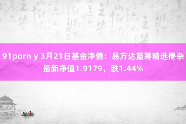 91porn y 3月21日基金净值：易方达蓝筹精选搀杂最新净值1.9179，跌1.44%