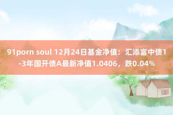 91porn soul 12月24日基金净值：汇添富中债1-3年国开债A最新净值1.0406，跌0.04%
