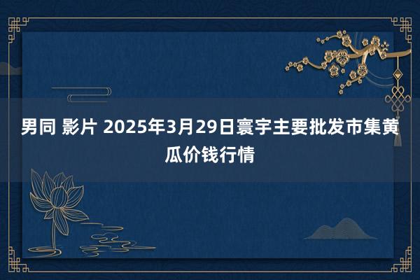 男同 影片 2025年3月29日寰宇主要批发市集黄瓜价钱行情