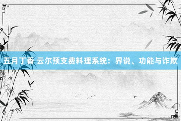 五月丁香 云尔预支费料理系统：界说、功能与诈欺