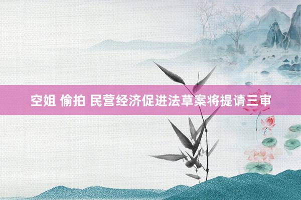 空姐 偷拍 民营经济促进法草案将提请三审